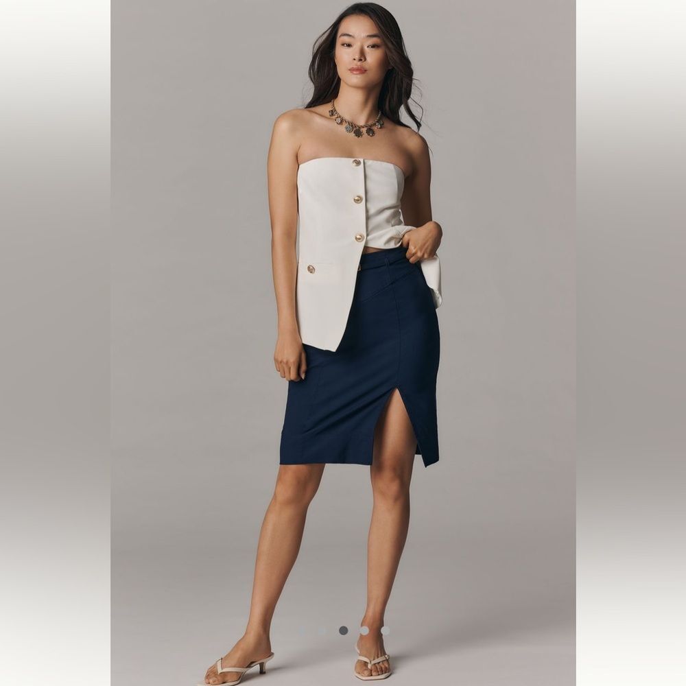 Anthropologie Pencil Skirt: Magic Fabric Edition Size M